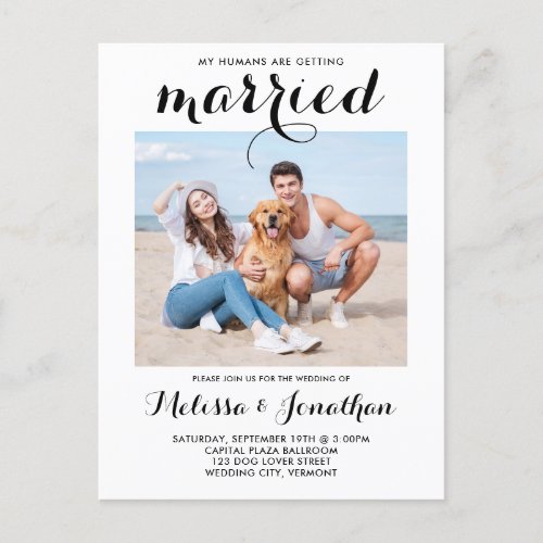 Modern Photo Custom Dog Pet Wedding Invitation Postcard