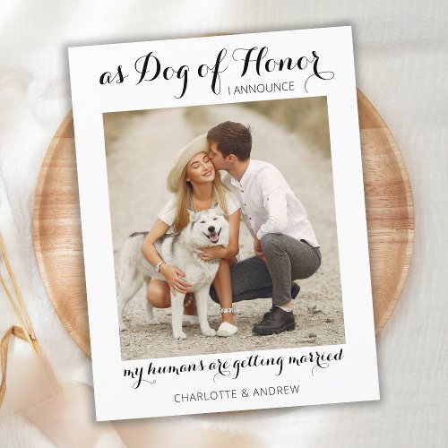 Modern Photo Dog Of Honor Pet Wedding Engagement Announcement Postcard