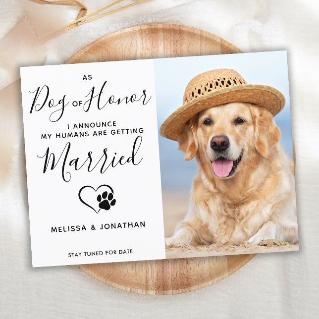 Modern Photo Dog Of Honor Pet Wedding Engagement  Announcement Postcard (Creator Uploaded)