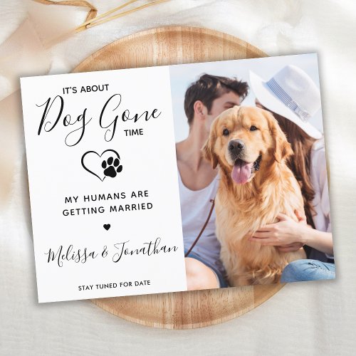 Modern Photo Funny Pet Wedding Dog Engagement  Announcement Postcard