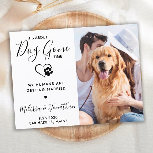 Modern Photo Funny Pet Wedding Dog Save The Date Announcement Postcard