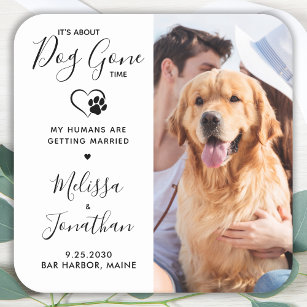Modern Photo Funny Pet Wedding Dog Save The Date  Square Paper Coaster