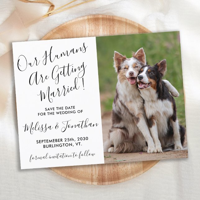Modern Photo Personalize Pet Wedding Save The Date Announcement Postcard (Creator Uploaded)