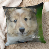 https://rlv.zcache.com/modern_photo_personalized_pets_family_dog_lover_throw_pillow-r_8vbsre_166.jpg