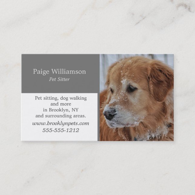 Modern Photo Pet  Business Card (Front)