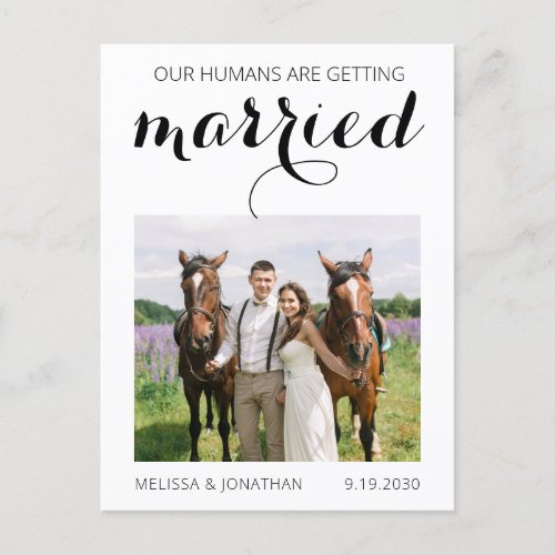 Modern Photo Pet Horse Wedding Save The Date Announcement Postcard