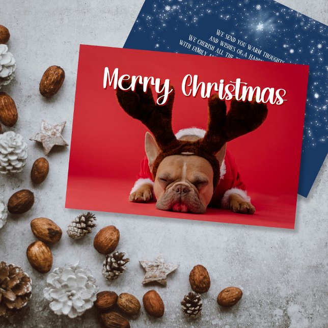 Modern photo with backside greetings Holiday card (Creator Uploaded)