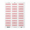 Modern Pink and Taupe Last Name Return Address 