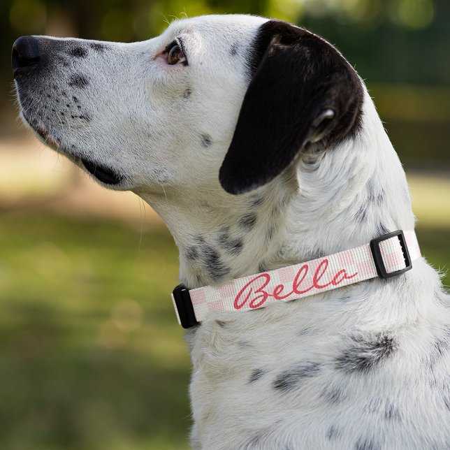 Modern Pink Checkered Dog Puppy Doggy Name Custom Pet Collar (Modern Pink Checkered Dog Puppy Doggy Cat Name Pet Collar)