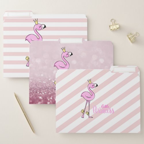 Modern Pink FlamingoLittle Princess Bokeh Striped File Folder