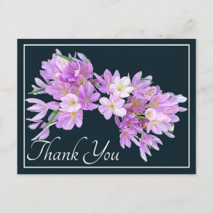 Modern Pink Purple Crocus Floral Pretty Thank You Postcard