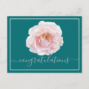 Modern Pink Rose Botanical Chic Congratulations Postcard