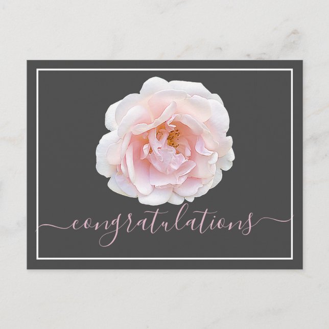 Modern Pink Rose Botanical Chic Congratulations Postcard (Front)