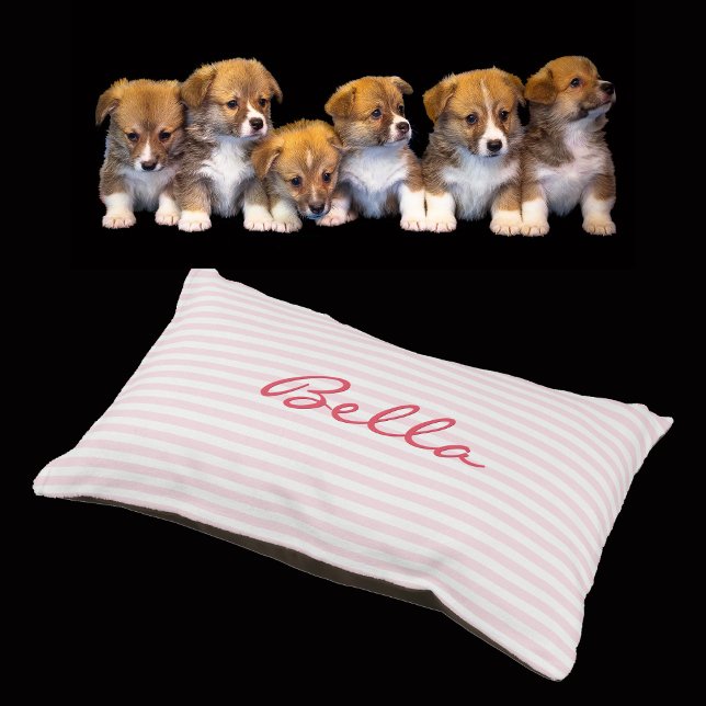 Modern Pink Striped Pattern Cat Dog Name Plush Pet Bed (Modern Pink Striped Pattern Cat Dog Name Plush Pet Bed)