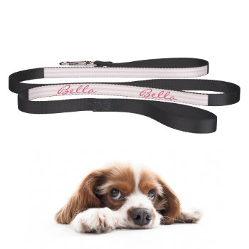 Modern Pink Stripes Dog Puppy Doggy Name Cool Pet Leash by iCoolCreate at Zazzle