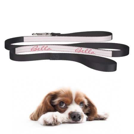 Modern Pink Stripes Dog Puppy Doggy Name Cool Pet Leash