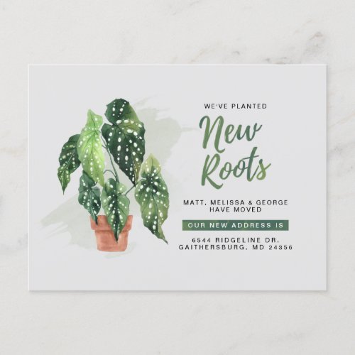 Modern Planted New Roots Moving New Address Announ Announcement Postcard