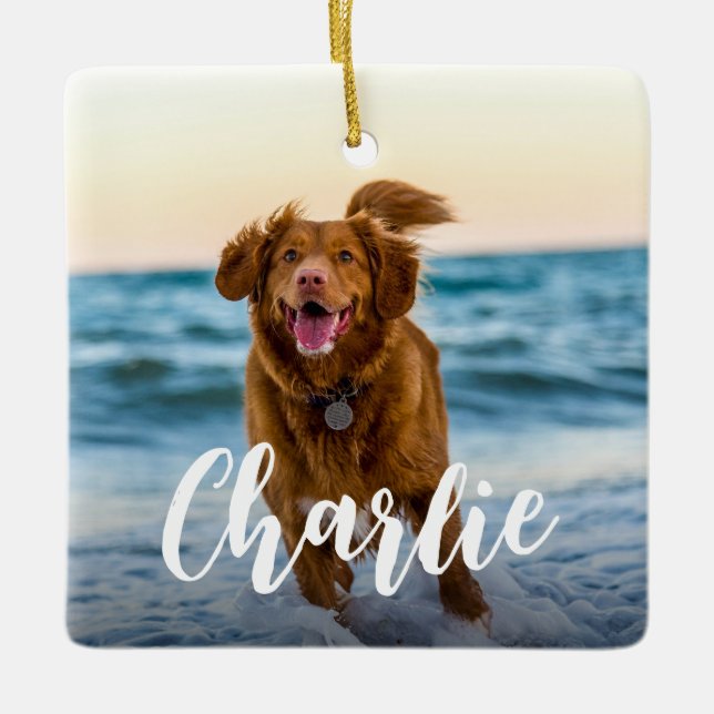 Modern Playful Chic Dog Photo Name Ceramic Ornament (Front)