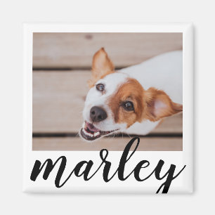 Modern Playful Simple Chic Pet Photo Magnet