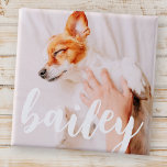 Modern Playful Simple Elegant Chic Pet Photo Button<br><div class="desc">This simple and classic design is composed of serif typography and add a custom photo of your pet.</div>