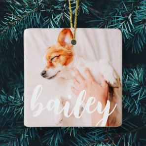 Modern Playful Simple Elegant Chic Pet Photo Ceramic Ornament