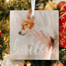 Modern Playful Simple Elegant Chic Pet Photo Glass Ornament