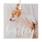 Modern Playful Simple Elegant Chic Pet Photo