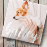 Modern Playful Simple Elegant Chic Pet Photo Magnet<br><div class="desc">This simple and classic design is composed of serif typography and add a custom photo of your pet.</div>