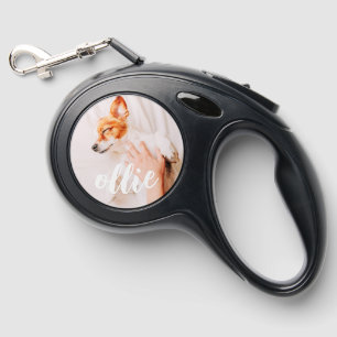 Modern Playful Simple Elegant Chic Pet Photo Retractable Pet Leash