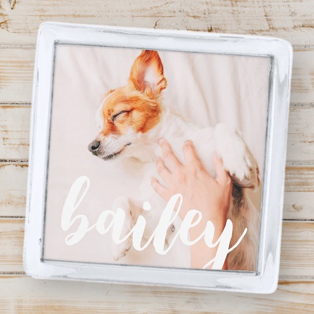 Modern Playful Simple Elegant Chic Pet Photo Silver Finish Lapel Pin (Creator Uploaded)