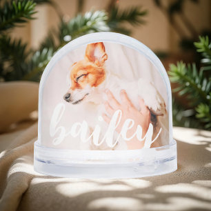Modern Playful Simple Elegant Chic Pet Photo Snow Globe