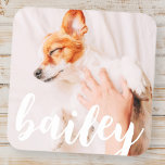 Modern Playful Simple Elegant Chic Pet Photo Square Sticker<br><div class="desc">This simple and classic design is composed of serif typography and add a custom photo of your pet.</div>