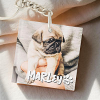 Modern Playful Simple Grunge Custom Pet Photo