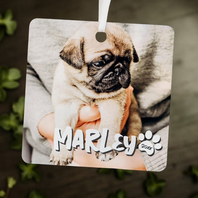 Modern Playful Simple Grunge Custom Pet Photo Metal Ornament (Creator Uploaded)