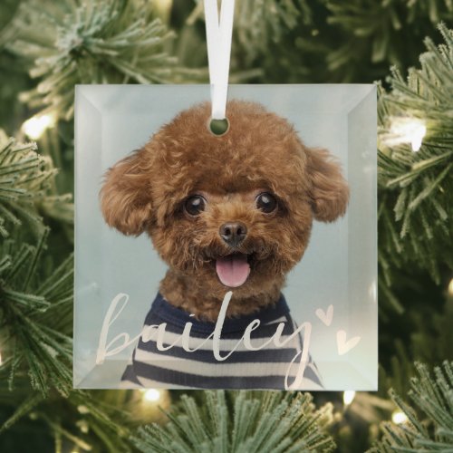 Modern Playful Simple Hearts Chic Pet Photo Glass Ornament