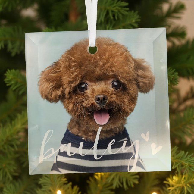 Modern Playful Simple Hearts Chic Pet Photo Glass Ornament (Creator Uploaded)