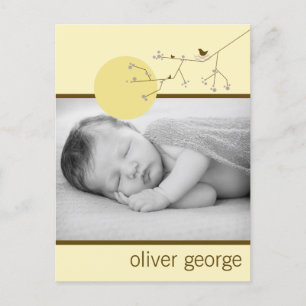 Modern Plum Nesting Bird Family Simple Photo Birth Announcement Postcard