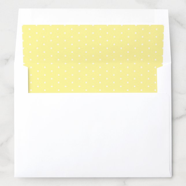 Modern Polka Dot Pattern Envelope Liner (In Envelope)