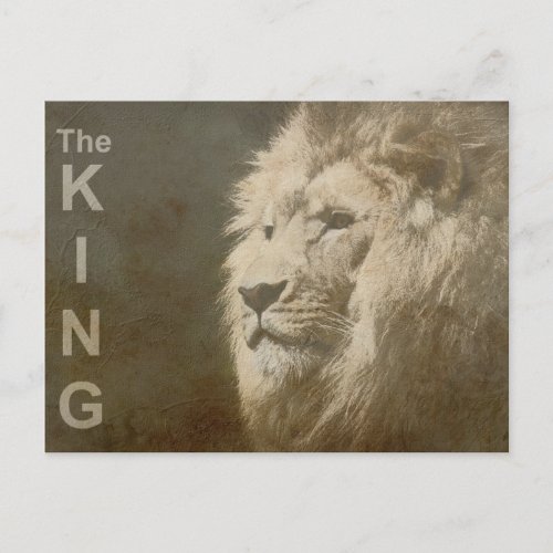 Modern Pop Art Template Animal Lion Head The King Postcard