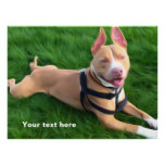 Modern poster with Pit bull dog on the green grass