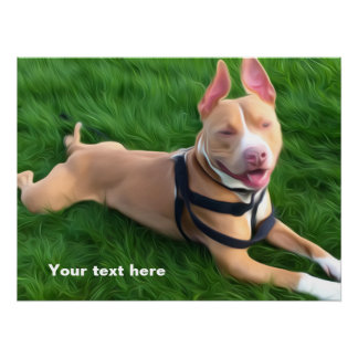 Modern poster with Pit bull dog on the green grass