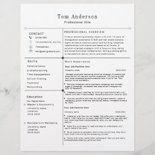 Modern Professional Resume Template