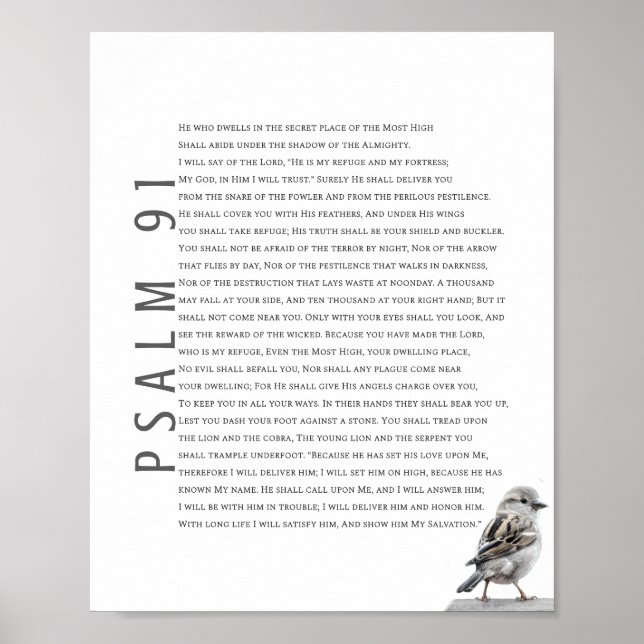 Modern Psalm 91 Bible Scripture Christian Bird Art Poster (Front)