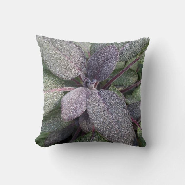 Modern Purple Sage Garden Herb Photo Throw Pillow (Front)