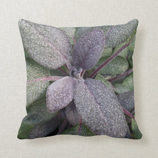 Modern Purple Sage Garden Herb Photo Throw Pillow