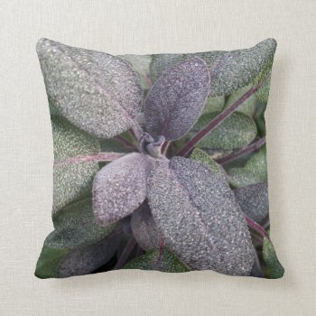 Modern Purple Sage Garden Herb Photo Throw Pillow by PennyCorkDesigns at Zazzle