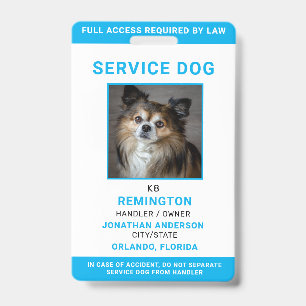Modern Red Blue Simple Service Dog Photo ID Badge 