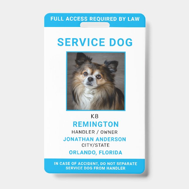 Modern Red Blue Simple Service Dog Photo ID Badge  (Front)