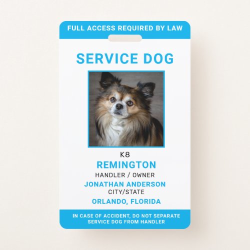 Modern Red Blue Simple Service Dog Photo ID Badge 