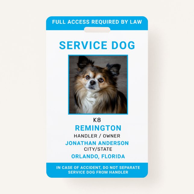 Modern Red Blue Simple Service Dog Photo ID Badge  (Front)